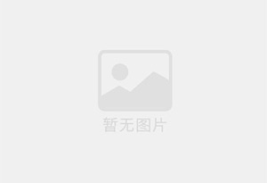 迷你汉堡鲜香海苔味（三角包）